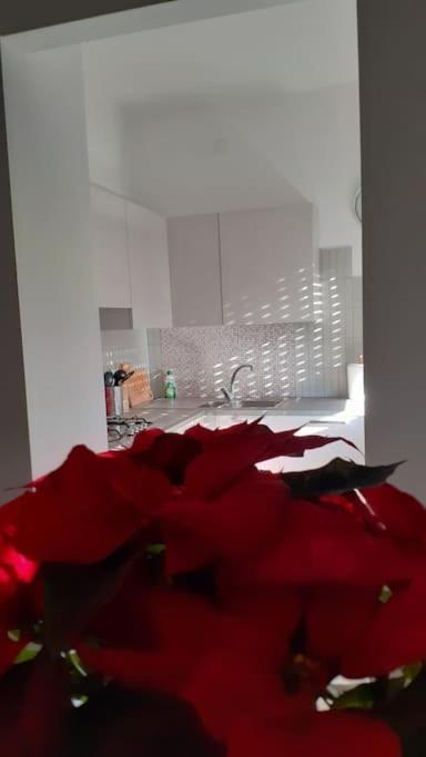 Lo Tsanty Casa Vacanza 奥斯塔 外观 照片